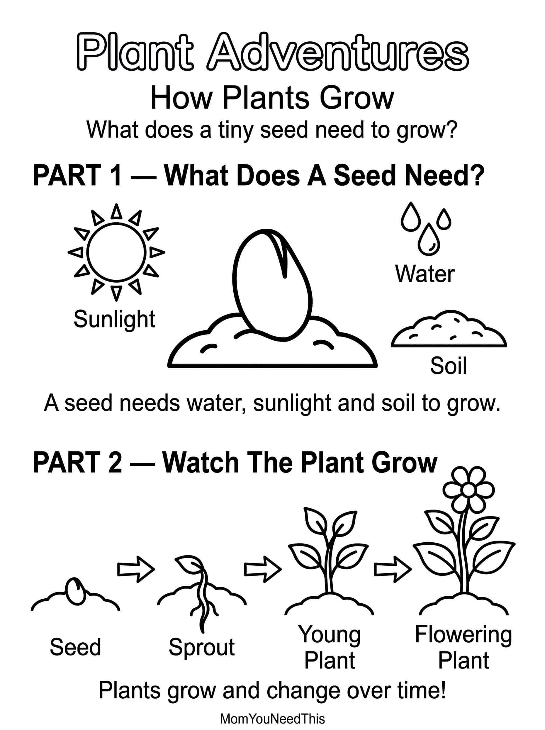 Free printable how plants grow chart for kids